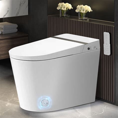 smart bidet toilet reviews